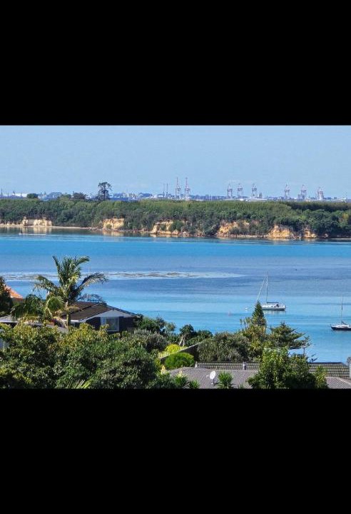 Photo of Others in Omokoroa