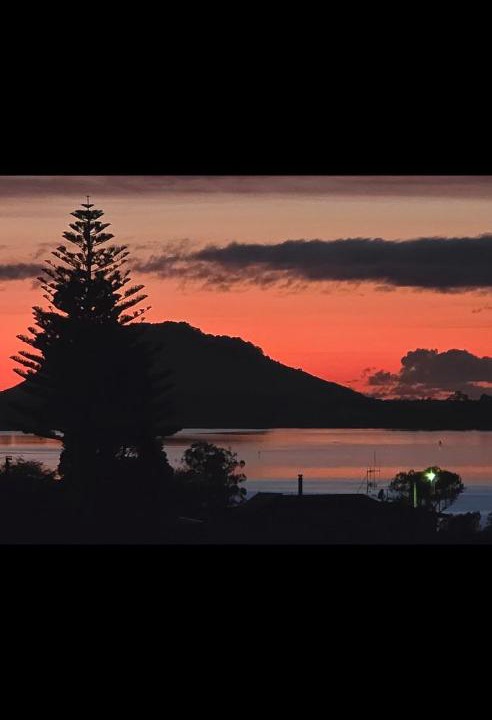 Photo of Others in Omokoroa
