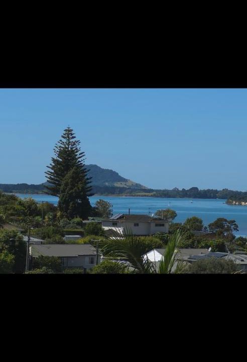Photo of Others in Omokoroa