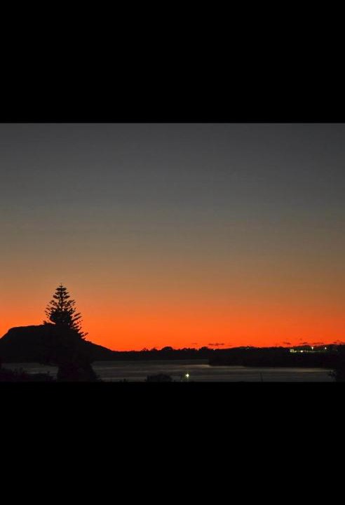 Photo of Others in Omokoroa