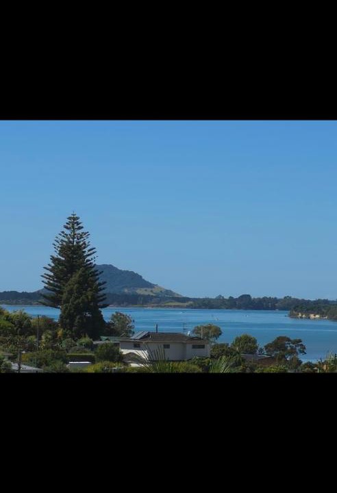 Photo of Others in Omokoroa