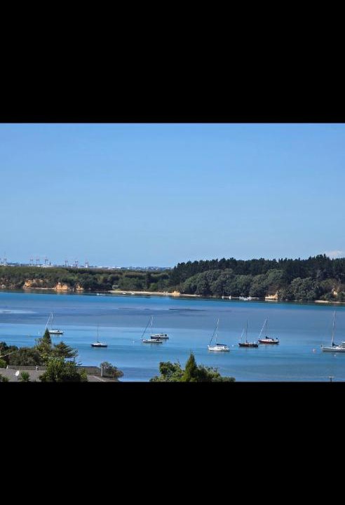 Photo of Others in Omokoroa