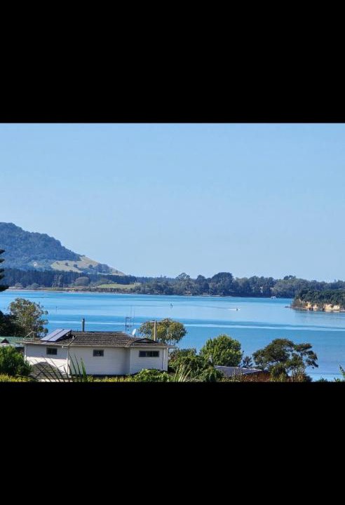Photo of Others in Omokoroa