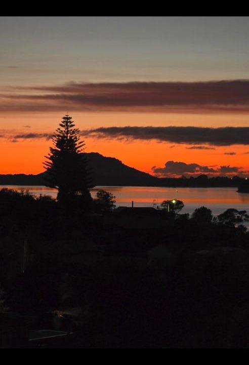 Photo of Others in Omokoroa