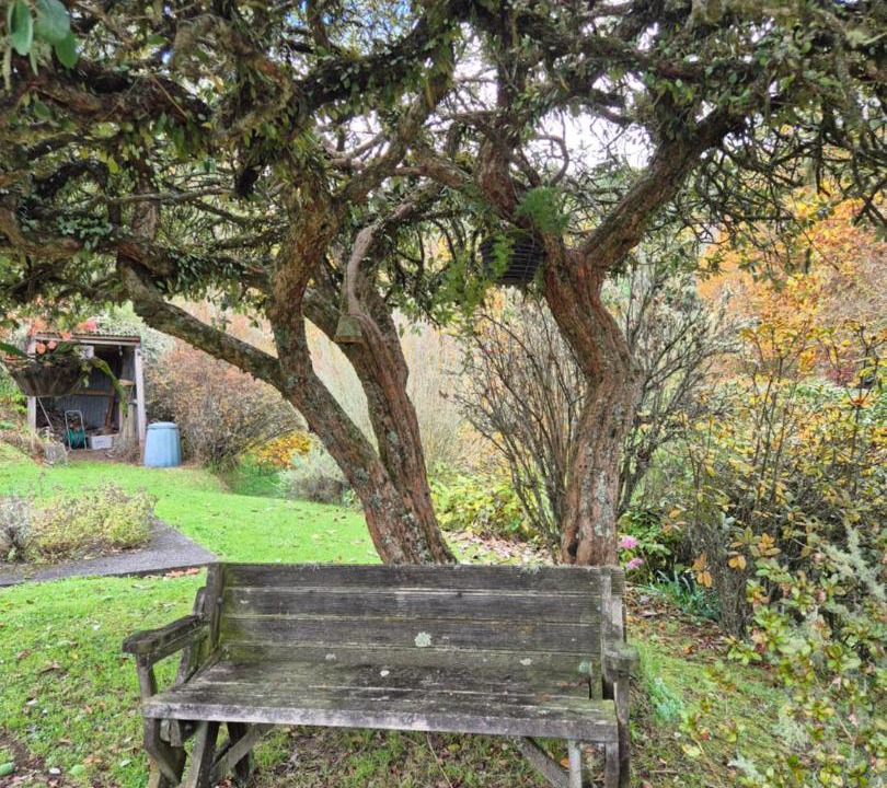 Photo of Others in Taumarunui