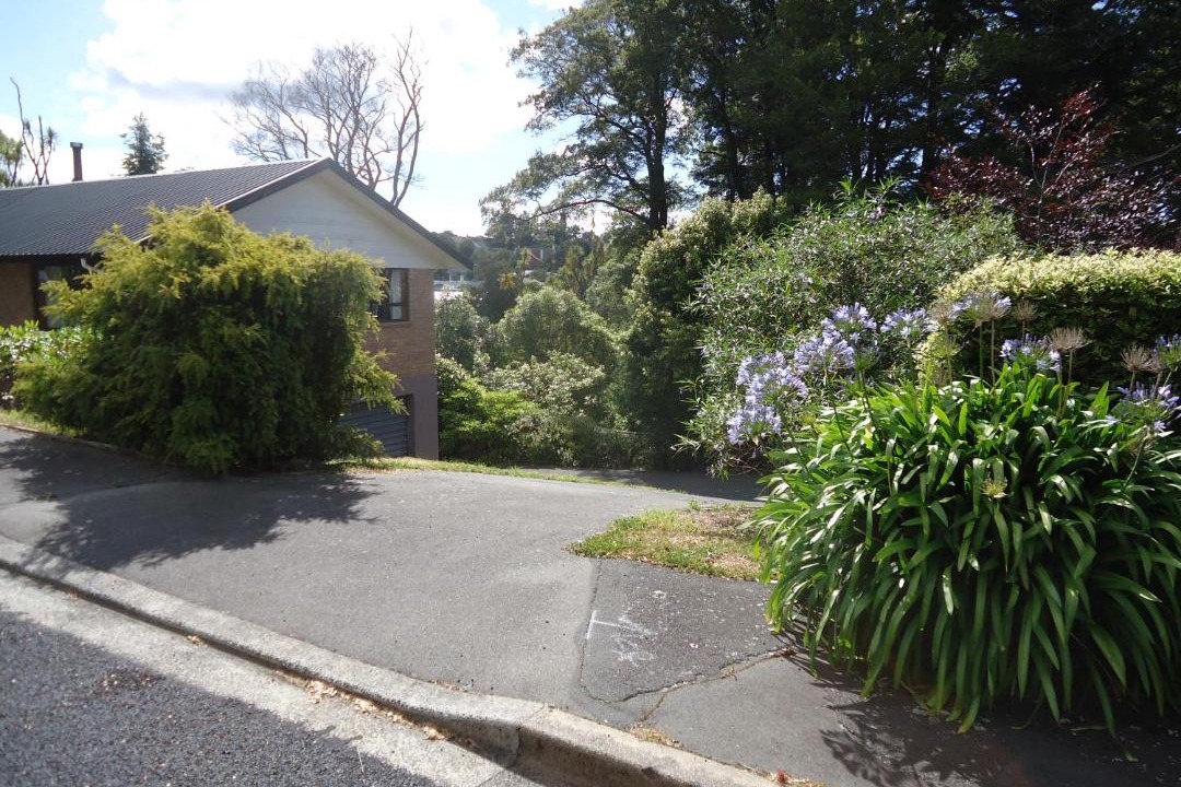 Photo of Others in Dunedin