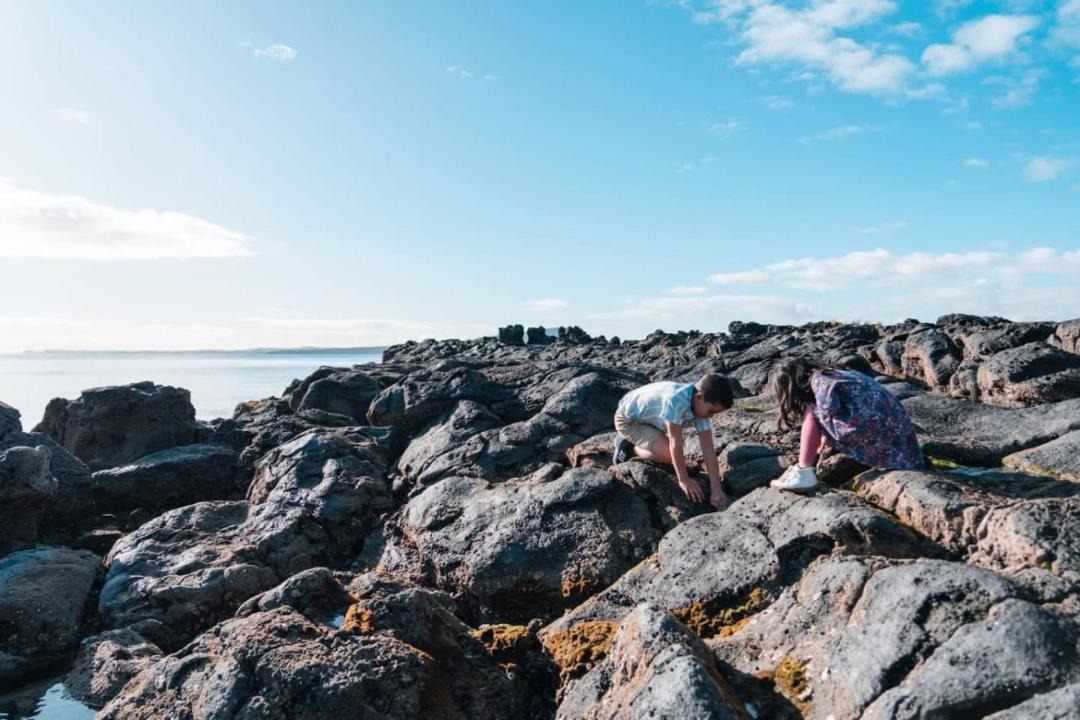 Photo of Others in Takapuna
