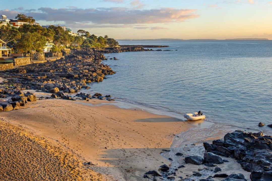 Photo of Others in Takapuna