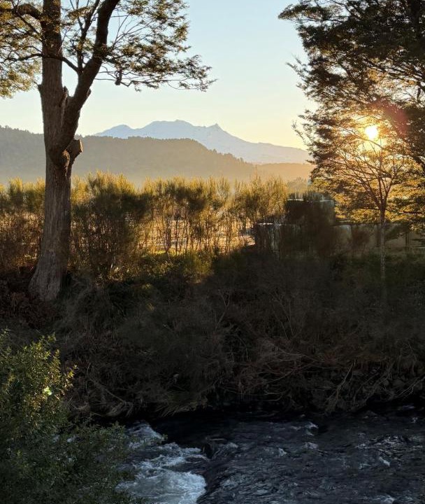 Photo of Others in Ohakune
