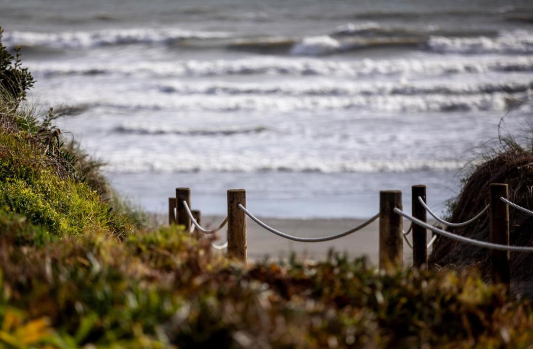 Photo of Others in Waikanae