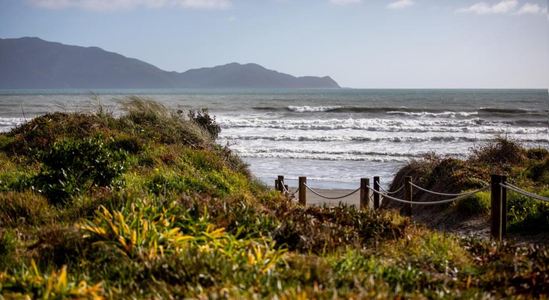 Photo of Others in Waikanae