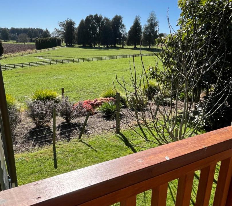 Photo of Others in Te Awamutu