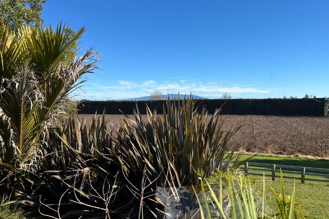 Photo of Others in Te Awamutu