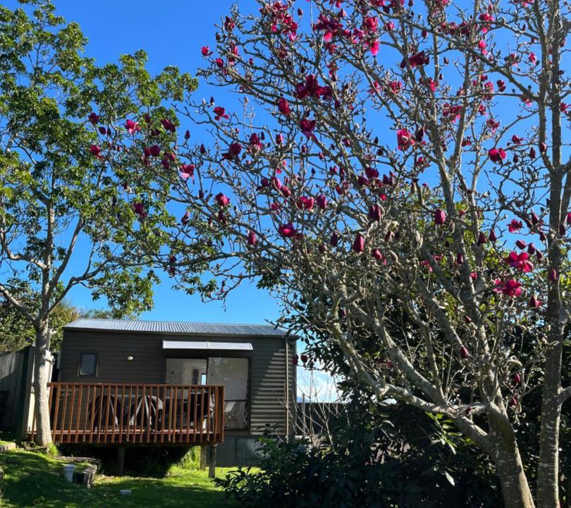 Photo of Others in Te Awamutu