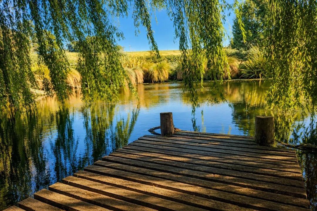 Photo of Others in Motueka