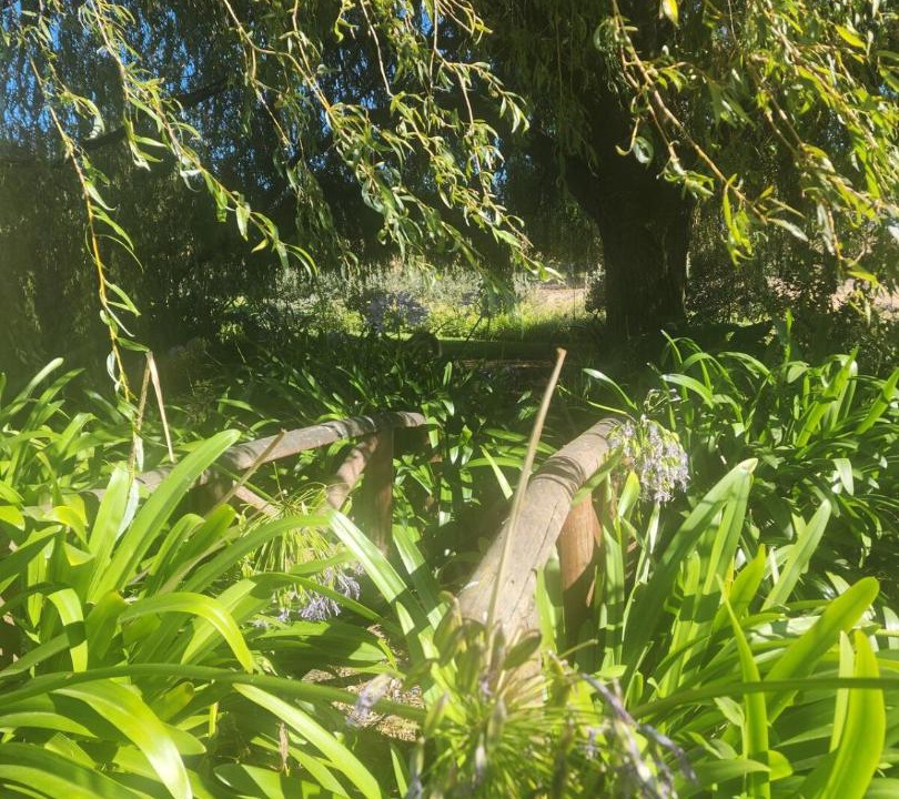 Photo of Others in Motueka