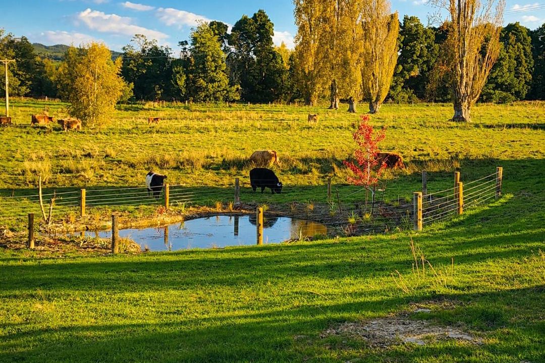Photo of Others in Motueka