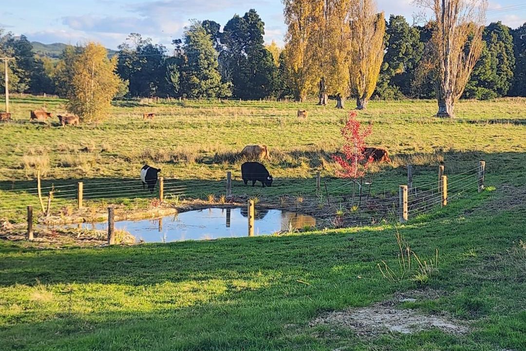 Photo of Others in Motueka