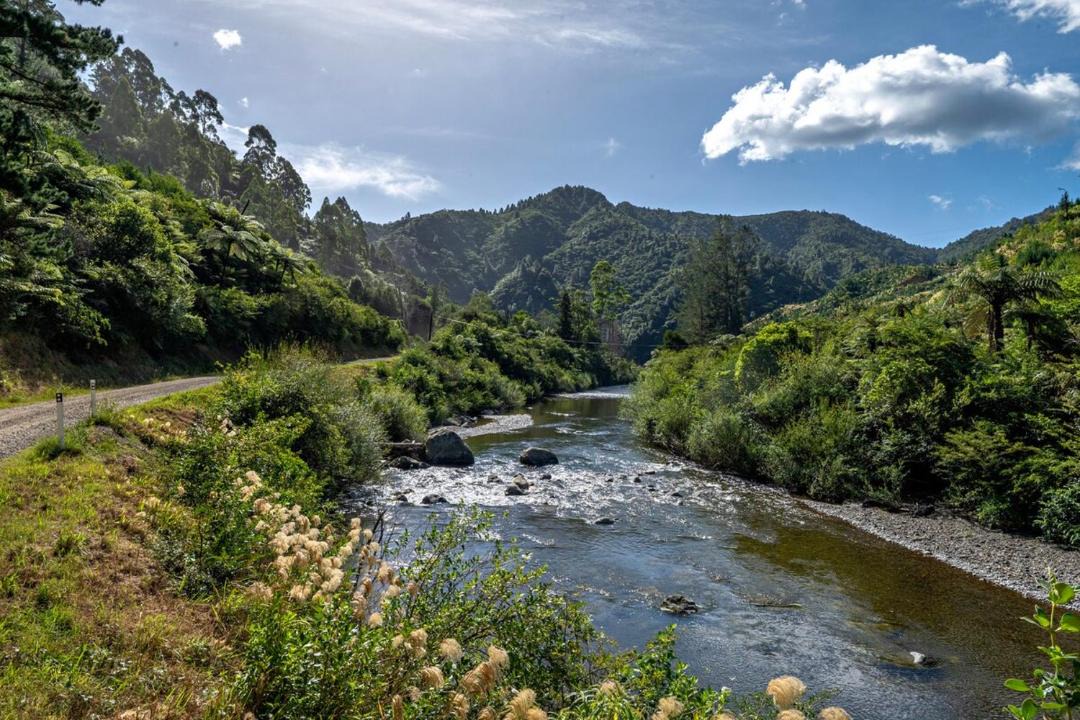 Photo of Others in Opotiki