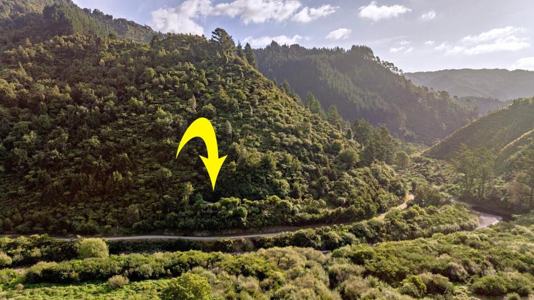 Photo of Others in Opotiki