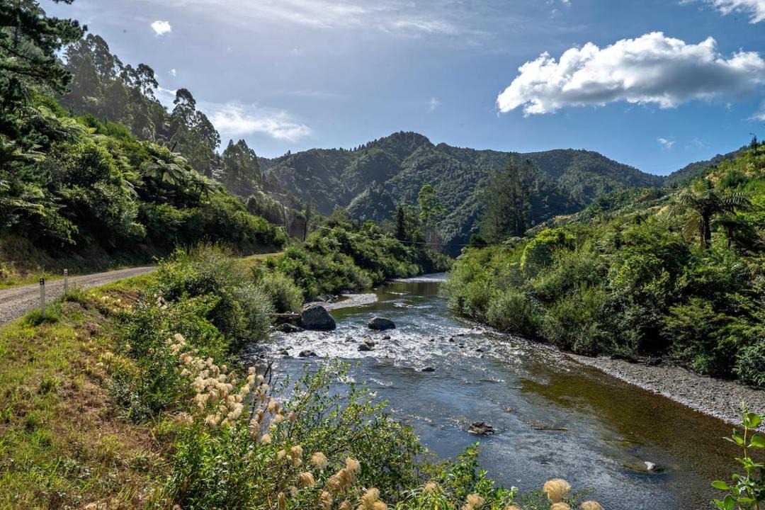 Photo of Others in Opotiki