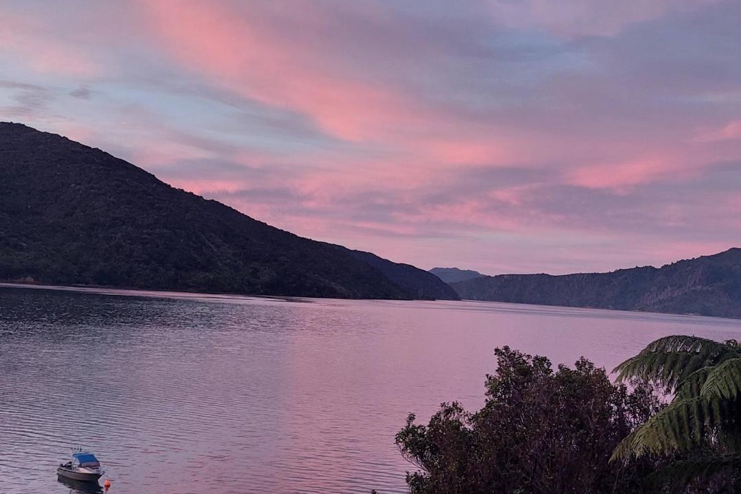 Photo of Others in Endeavour Inlet