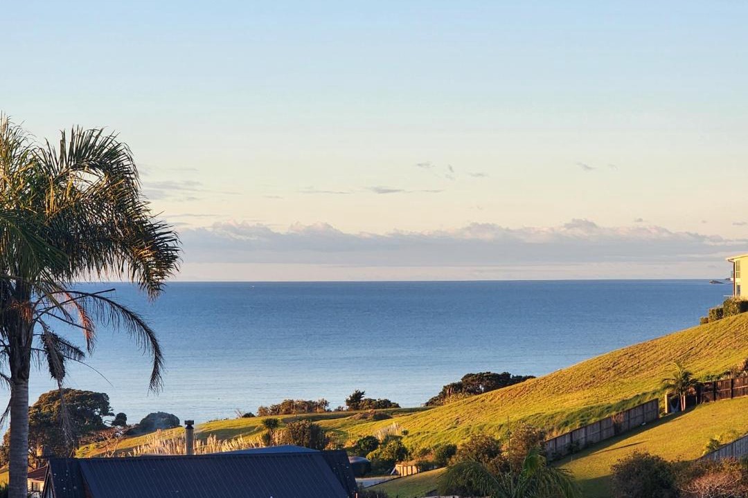 Photo of Others in Cable Bay