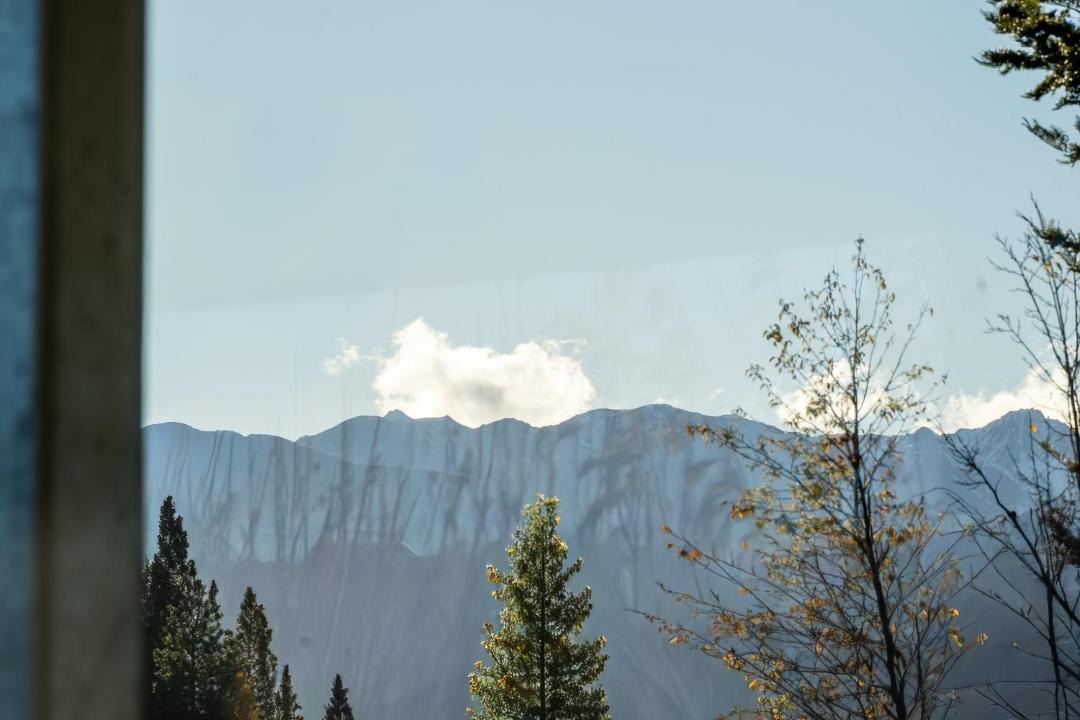 Photo of Others in Twizel