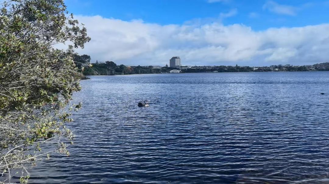 Photo of Others in Takapuna