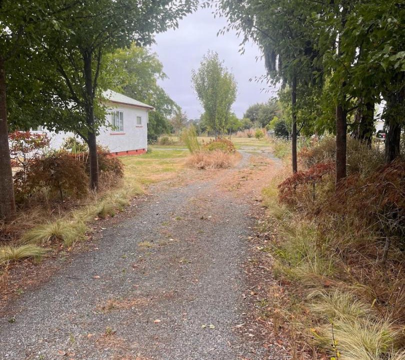 Photo of Others in Greytown