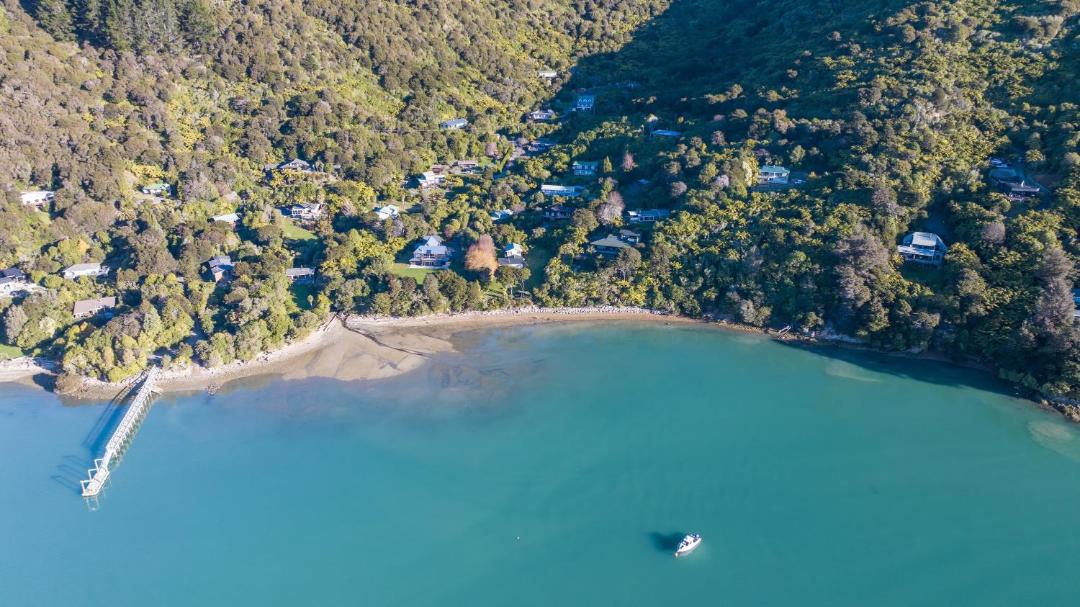 Photo of Others in Moetapu Bay