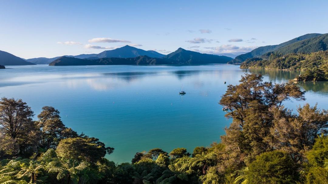 Photo of Others in Moetapu Bay