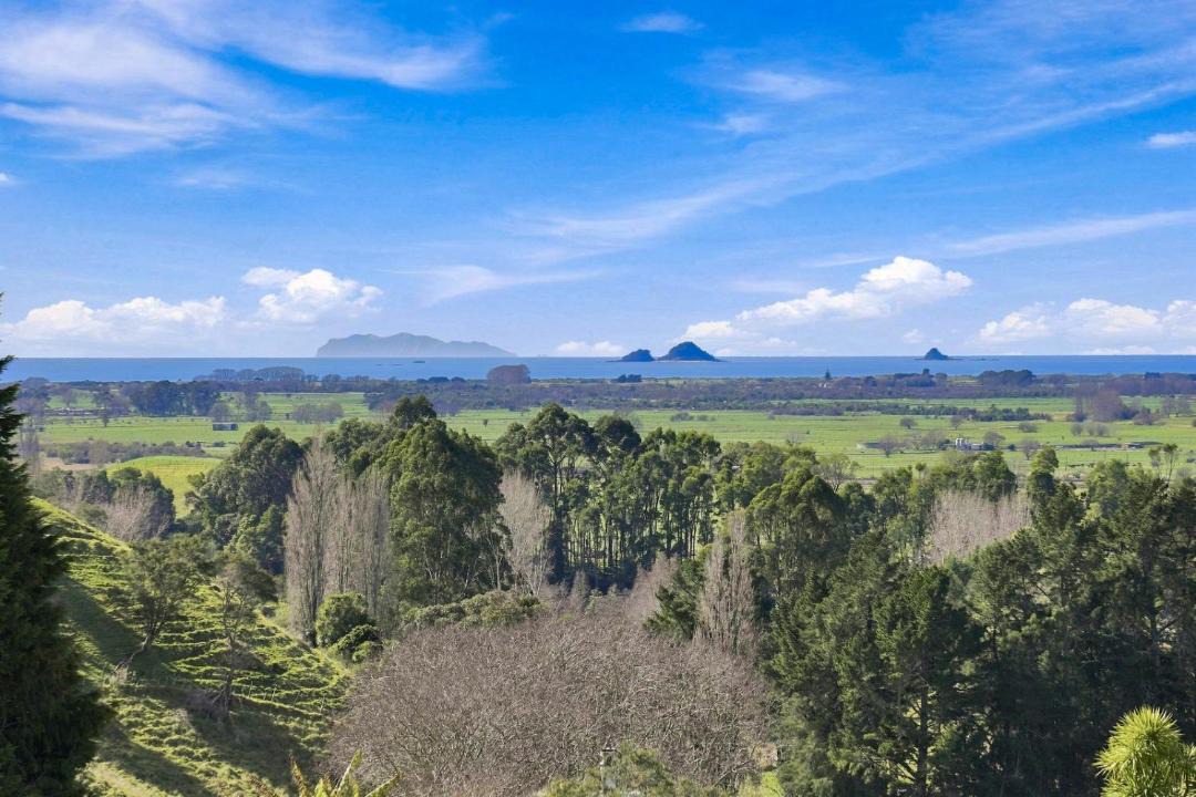 Photo of Others in Bay of Plenty Region