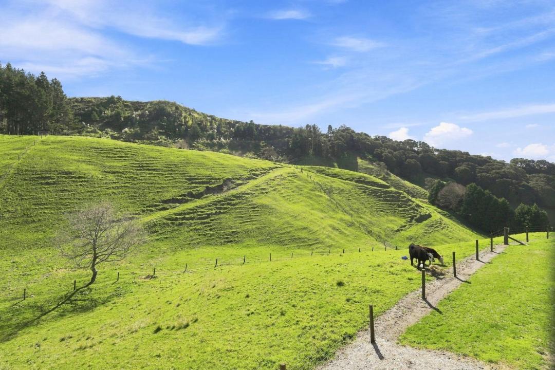 Photo of Others in Bay of Plenty Region