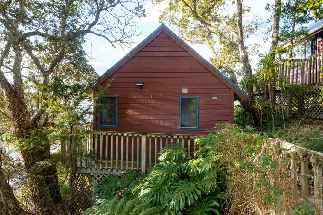 Photo of Others in Paihia