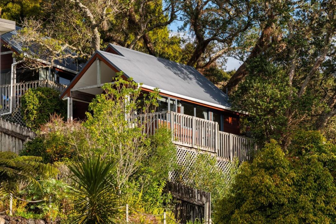 Photo of Others in Paihia