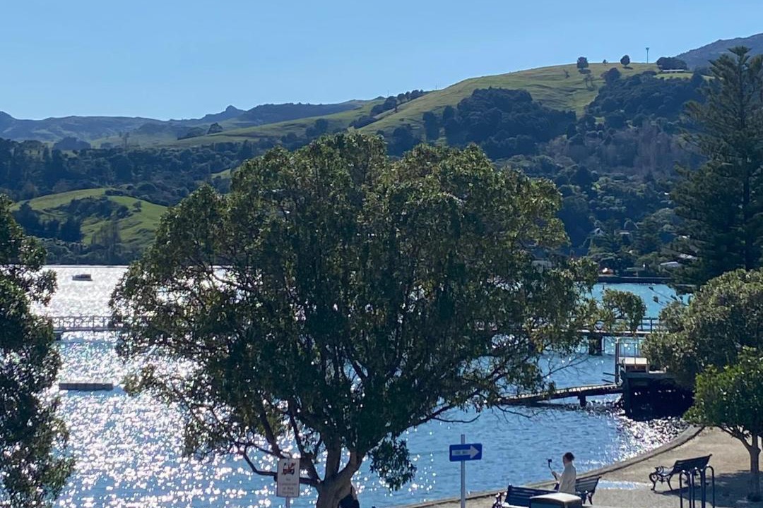 Photo of Others in Akaroa