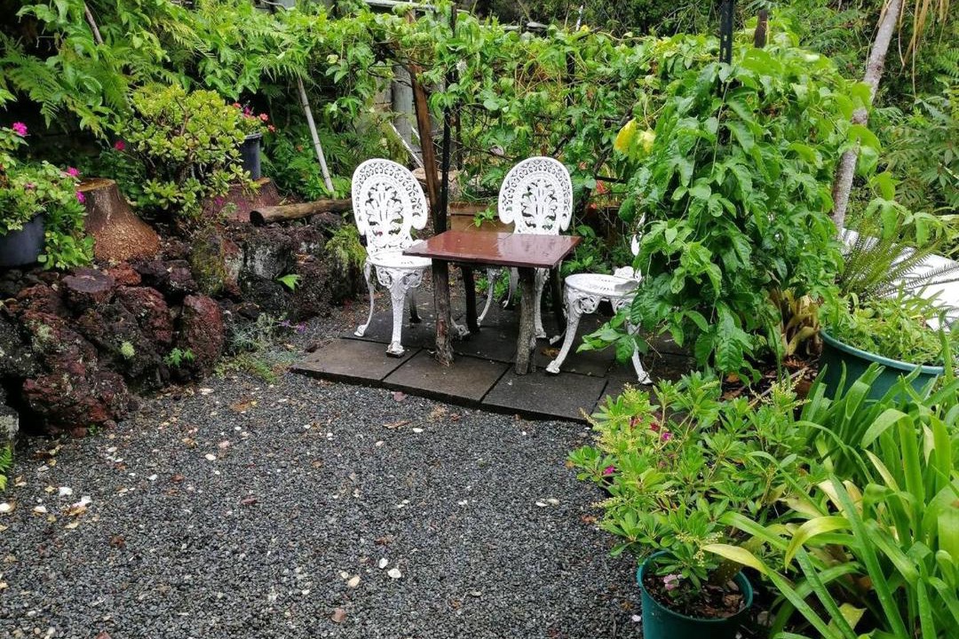 Photo of Others in Paihia