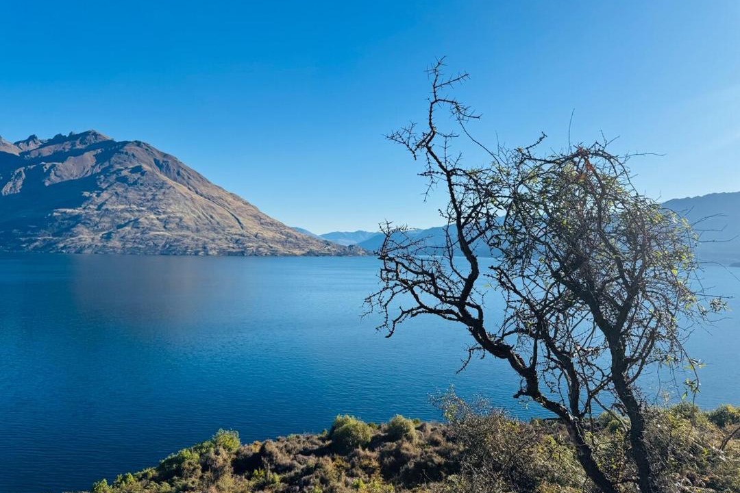 Photo of Others in Kawarau Falls