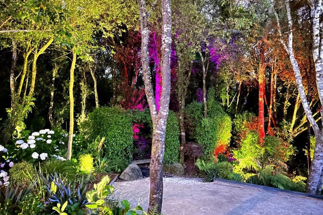 Photo of Outdoor in Pukawa