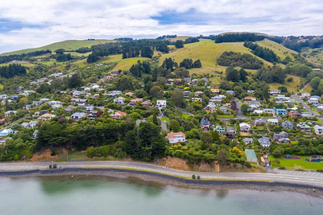 Photo of Others in Dunedin