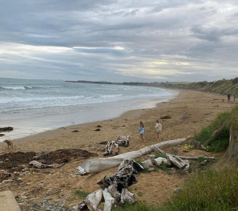 Photo of Others in Kakanui