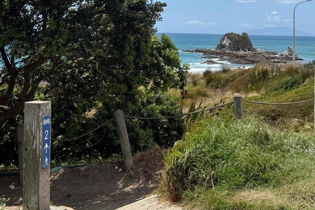 Photo of Others in Mangawhai