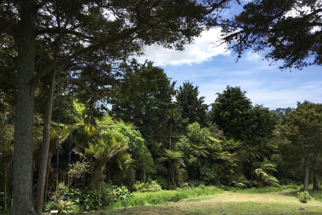 Photo of Outdoor in Mangawhai