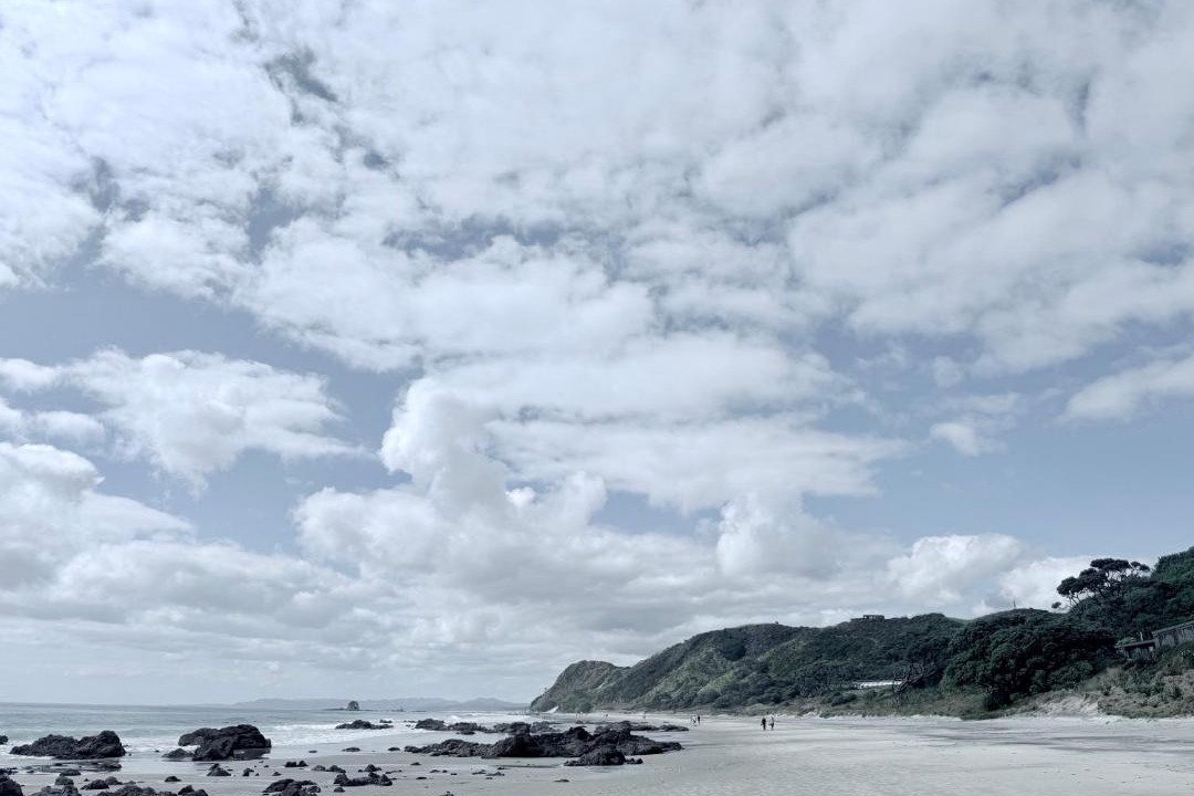 Photo of Others in Mangawhai