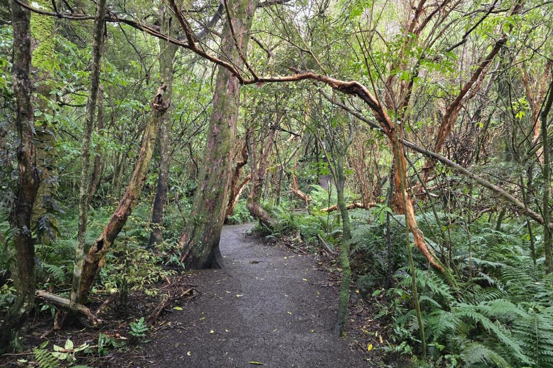Photo of Others in Otatara