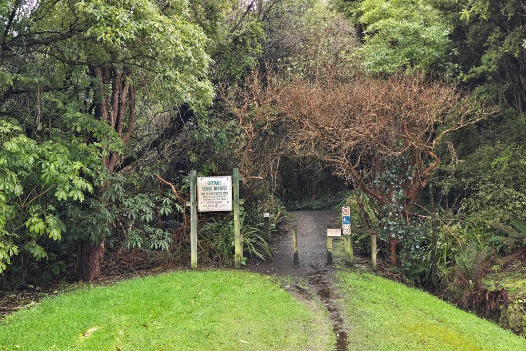 Photo of Others in Otatara