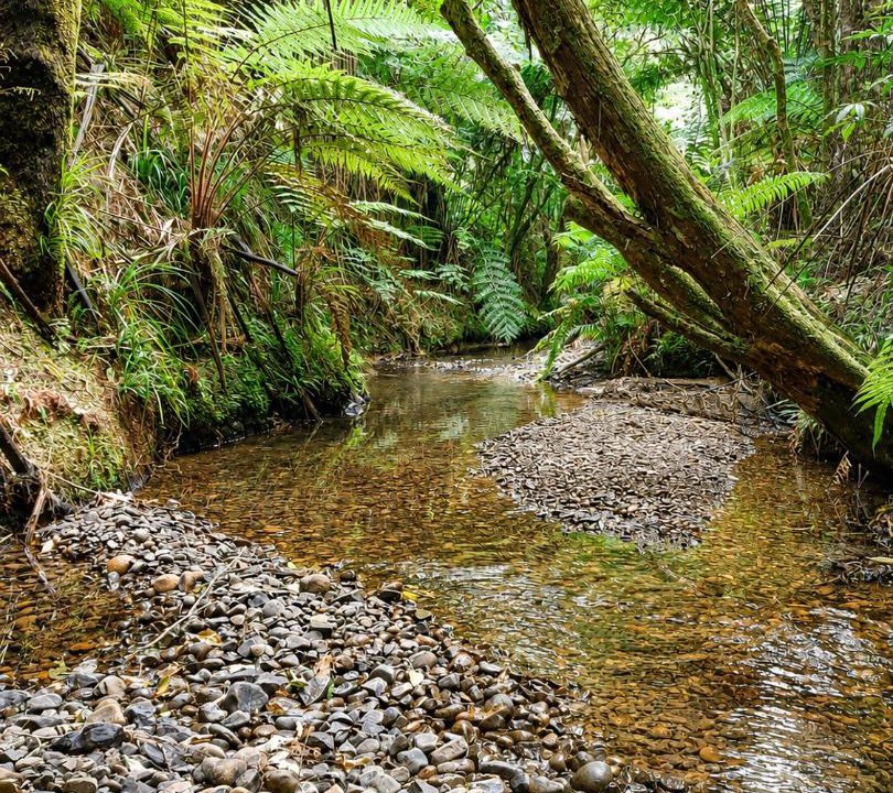 Photo of Others in Raglan