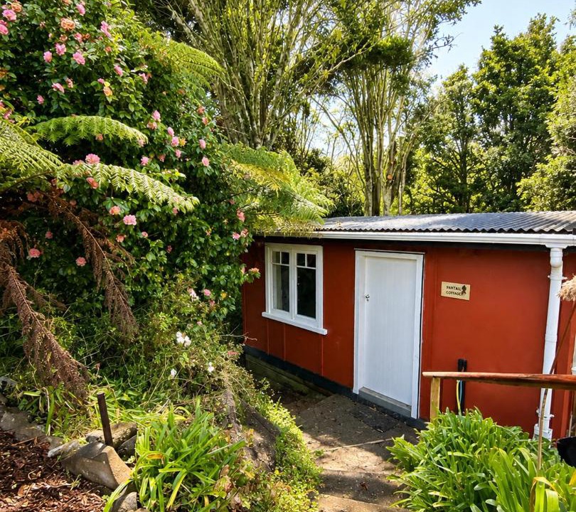 Photo of Others in Raglan