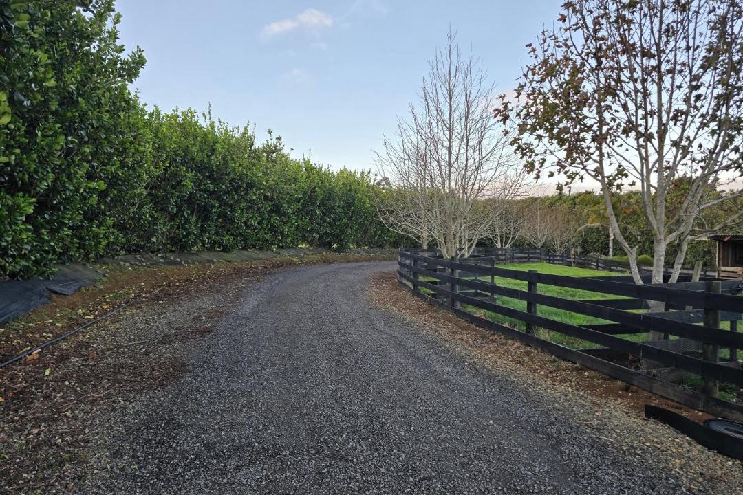 Photo of Others in Kerikeri